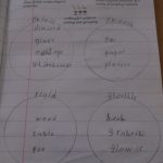 Infant class science work