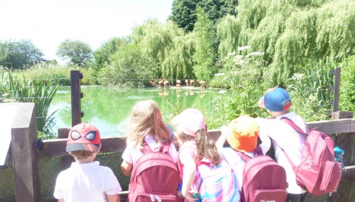 School trip to whipsnade zoo