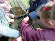 Children planting the seeds into seed trays.